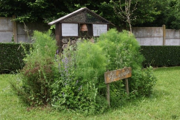 photo 1 pollinisateurs