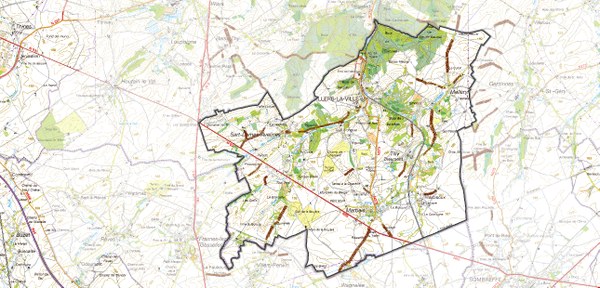 Fauchage Tardif